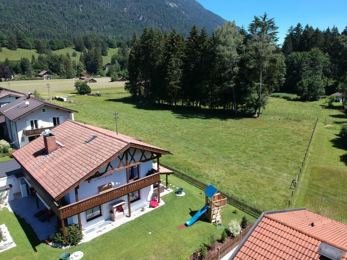 Alpenperle *
